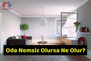 Oda Nemsiz Olursa Ne Olur?